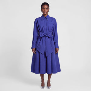 A model stands against a light gray studio background wearing a long-sleeve, collared midi dress in a vivid royal blue shade. The dress features a self-tie waist belt and a flared skirt, paired with pointed silver heels.